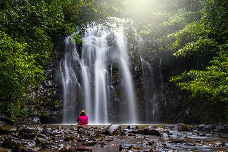 Elinjaa falls