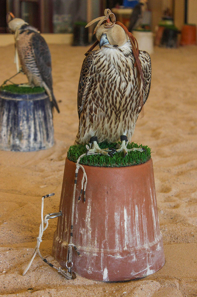 falcon souq, Qatar
