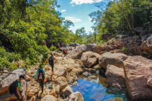 Rejseblog: Bushwalking ved killymoon creek, Townsville, Australien