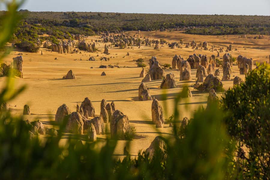 Pinnacles National Park i Vestaustralien