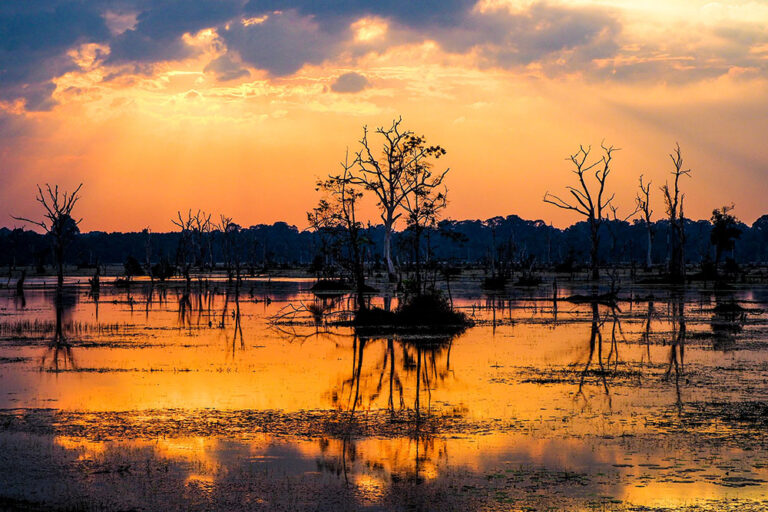 solnedgang i siem reap