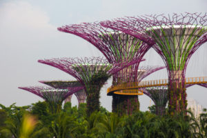 Rejseblog: Gardens by the Bay - besøg i de to drivhuse i Singapore