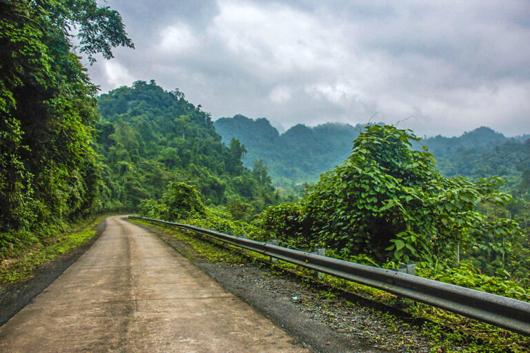 phong nha