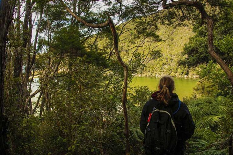 vandring i New zealand med en dagsrygsæk