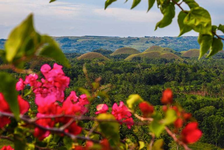 chocolate hills, filippinerne