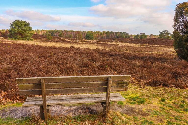 lüneburger heide