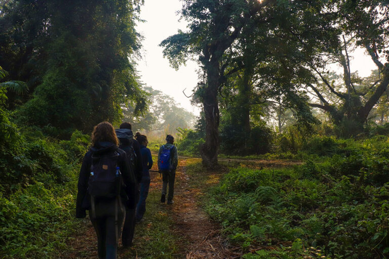 walking safari i chitwan national park