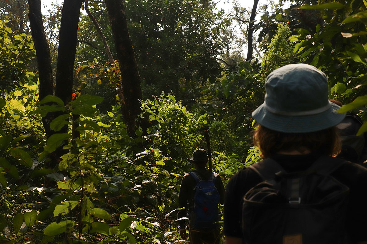 junglen i nepal