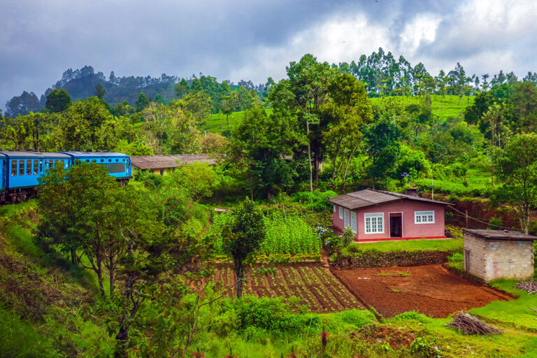 hus i sri lanka