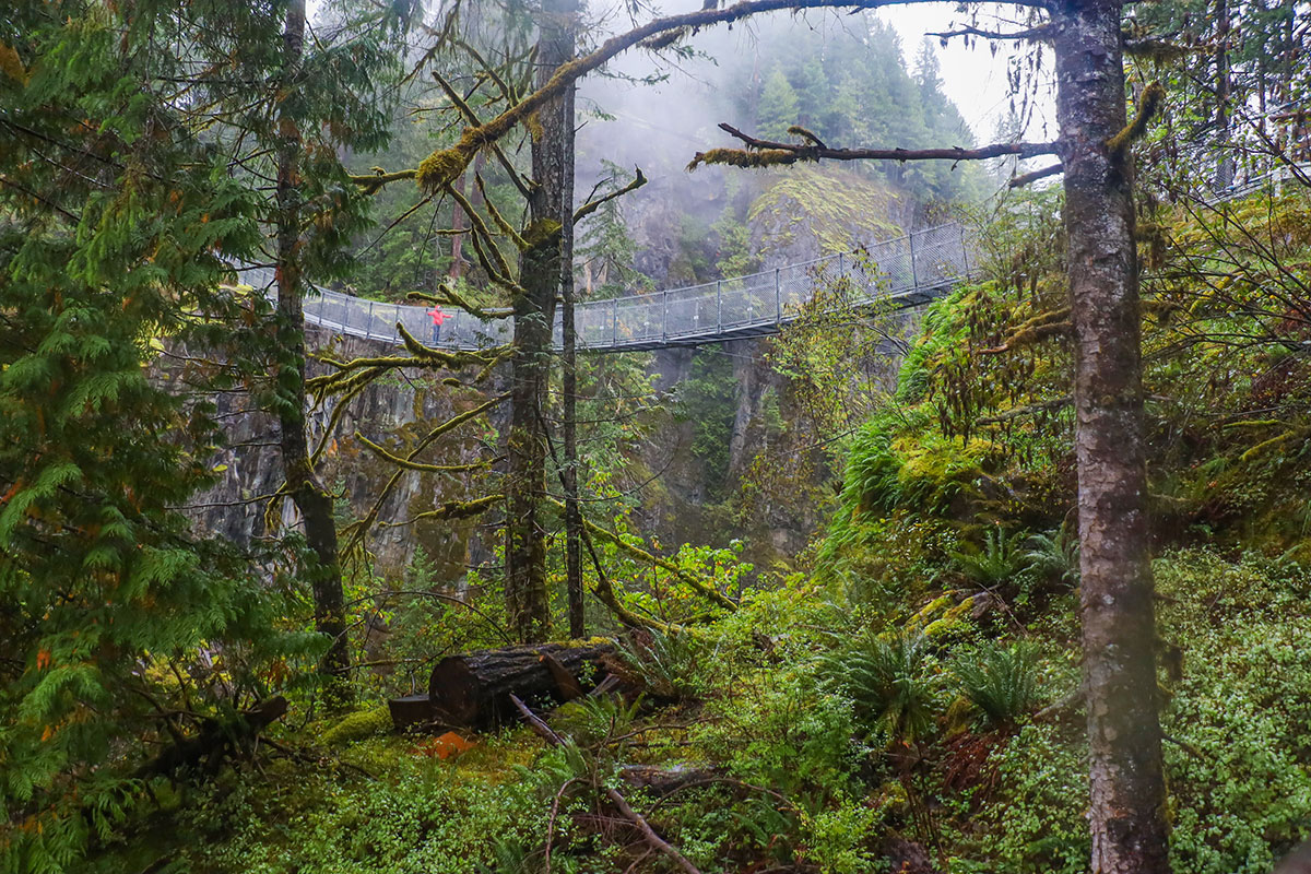 elk falls suspension bridge, vancouver island