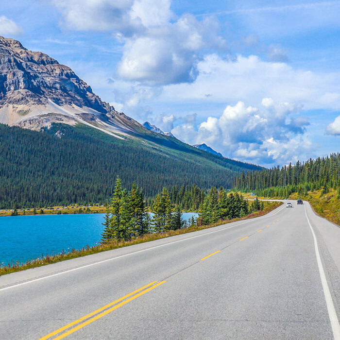 Icefields Parkway – Roadtrip på en af verdens smukkeste veje