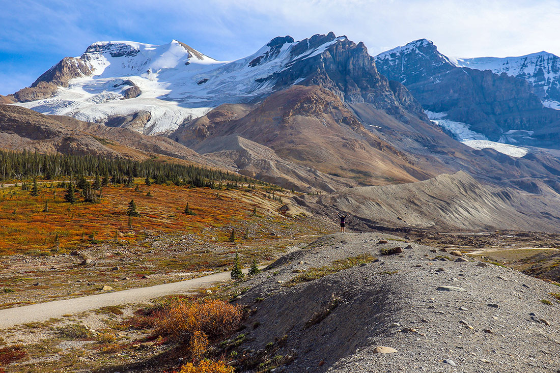 athabasca mountain, jasper national park, alberta, canada