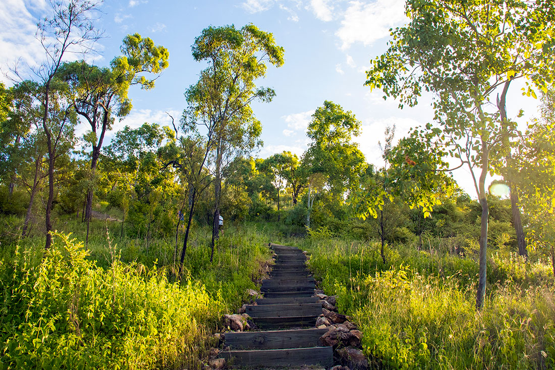 jcu walking trail, Townsville, Queensland, Australien