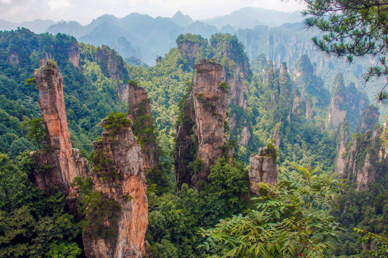 zhangjiajie national forest park