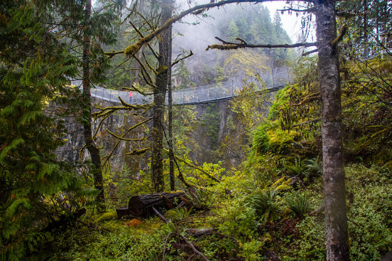 elk falls provincial park, Vancouver Island