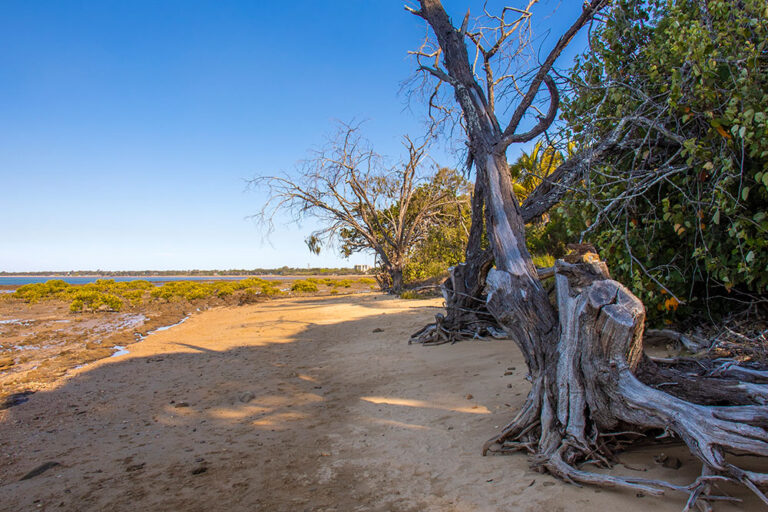 vernon point i hervey bay