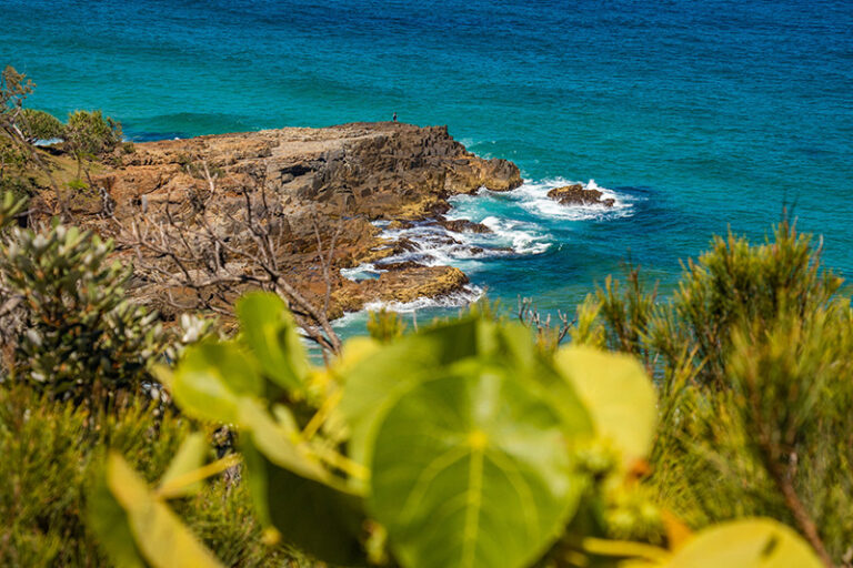 Noosa national park