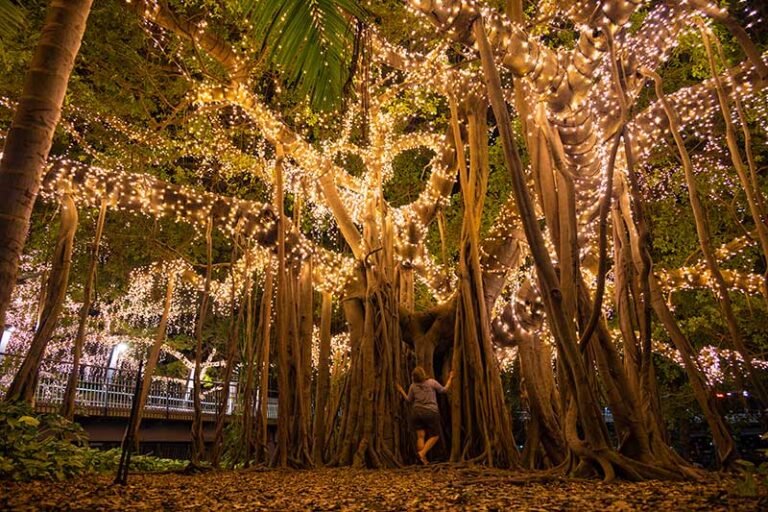 Brisbane Riverwalk - den bedste oplevelse og seværdighed i Brisbane!