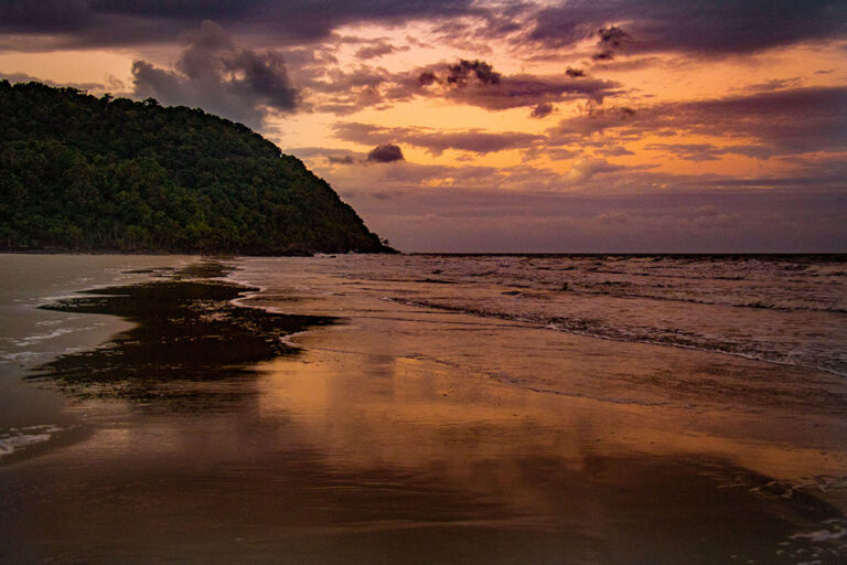 solnedgang i daintree national park