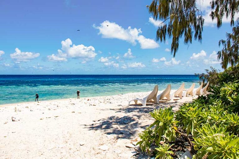 lady elliot island