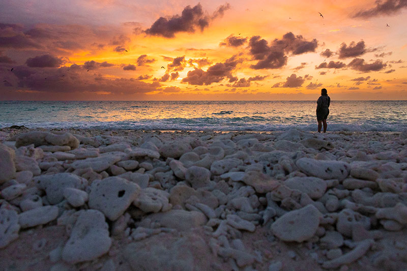 solnedgang på lady elliot island